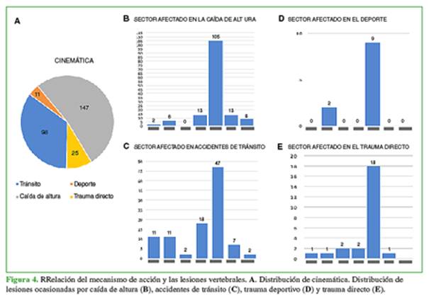 Lesiones traumáticas. Columna vertebral y traumatismos torácicos